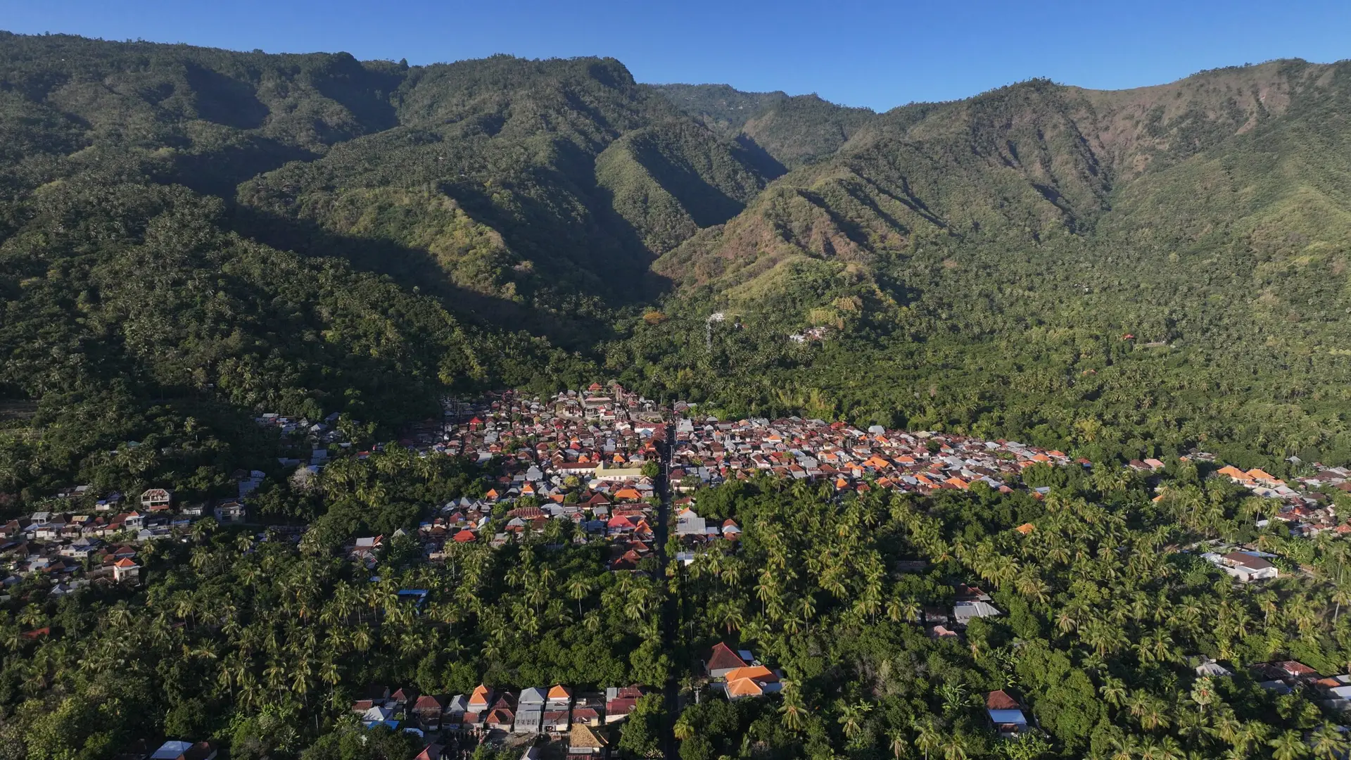 SELAYANG PANDANG DESA LES – English